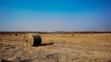 Cazino Slot Shack Cazinou Aplicație mobilă